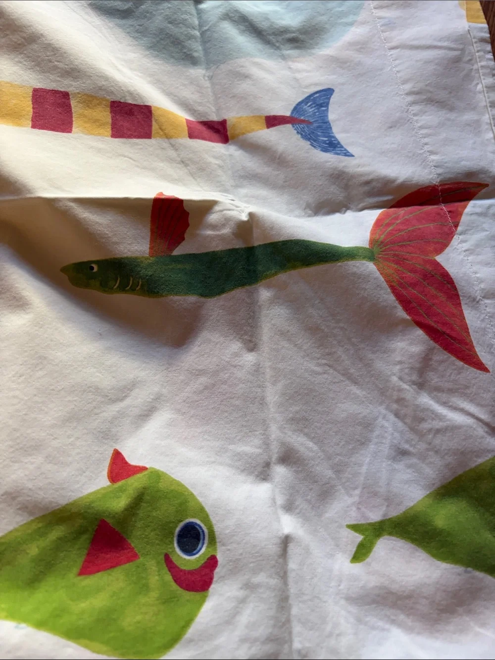 Pottery Barn Colorful Fish Print Pet Mat — Green, Blue, Red, Yellow